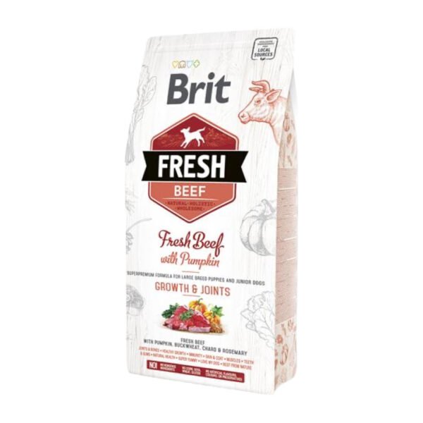 Brit Fresh Puppy Large Breed M/Oksekød