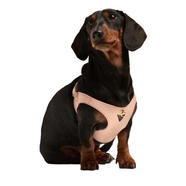 Branni Pets Juno Designer Hundesele Melon