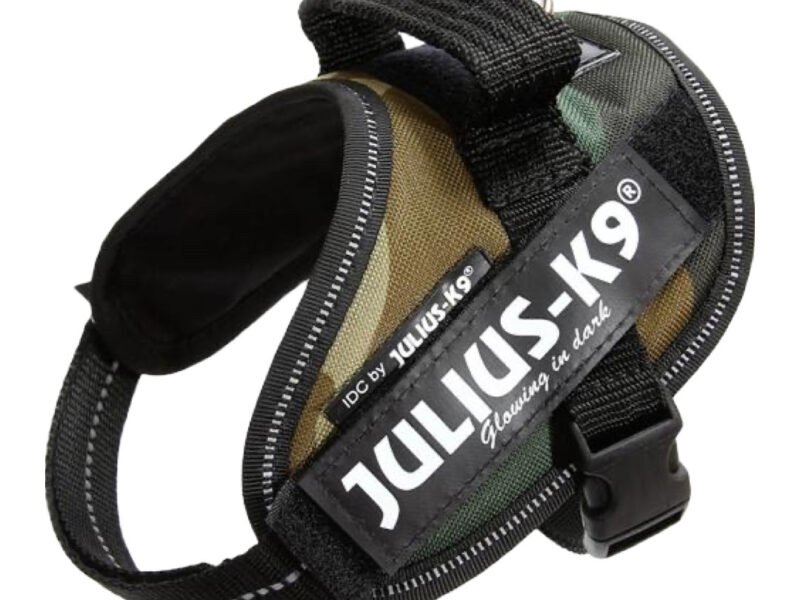 Julius K9 IDC Hundesele Camouflage