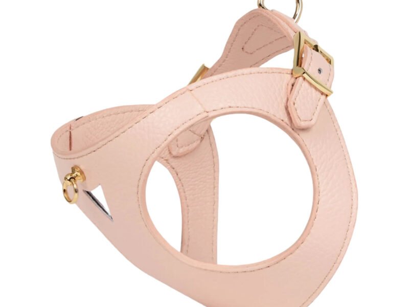 Branni Pets Juno Designer Hundesele Melon