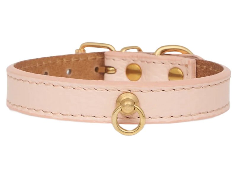 Branni Pets Juno Designer Halsbånd Melon