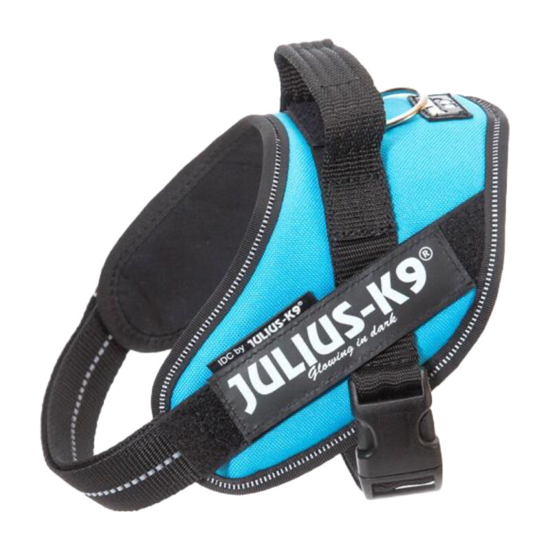 Julius K9 IDC Hundesele Aqua