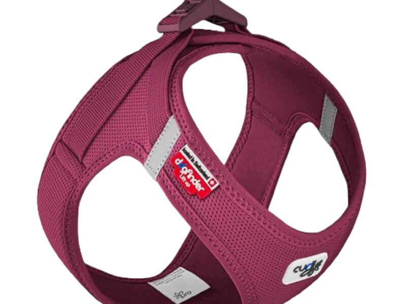Curli Air-Mesh Vest Step-In Hundesele Ruby