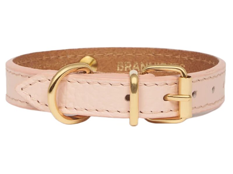 Branni Pets Juno Designer Halsbånd Melon