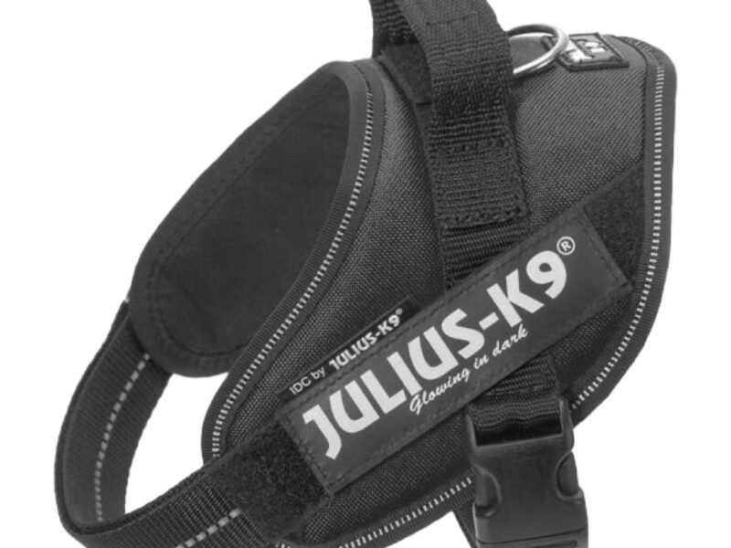 Julius K9 IDC Hundesele Sort