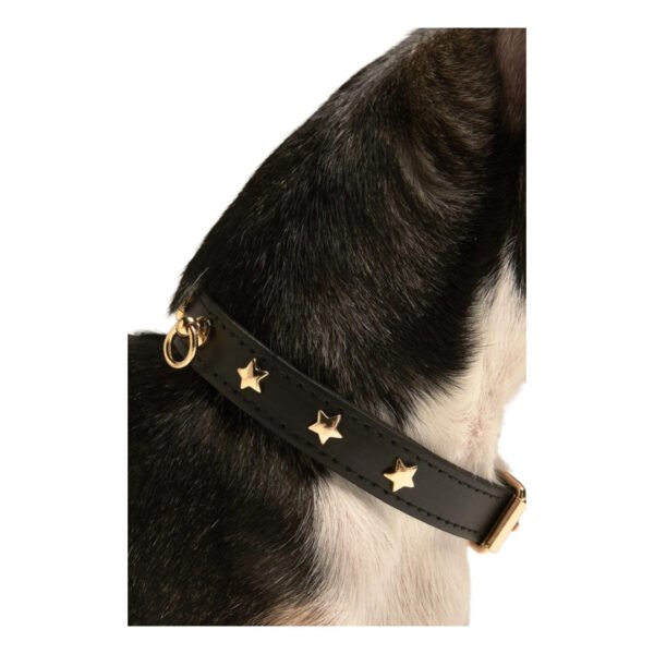 Branni Pets Nara Designer Halsbånd M/Stjerner Sort - Image 3