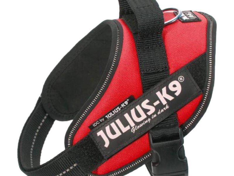 Julius K9 IDC Hundesele Rød