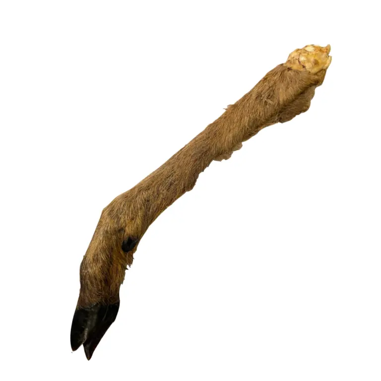 Tørret Rådyrben M/Pels Natursnack