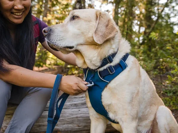 Ruffwear Front Range Hundesele Blue Moon - Image 3