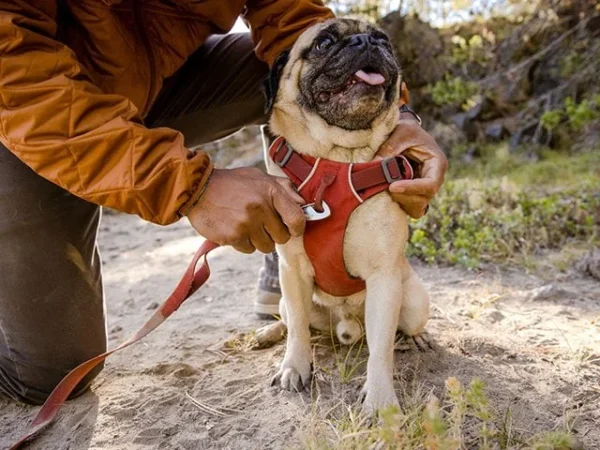 Ruffwear Front Range Hundesele Red Clay - Image 3