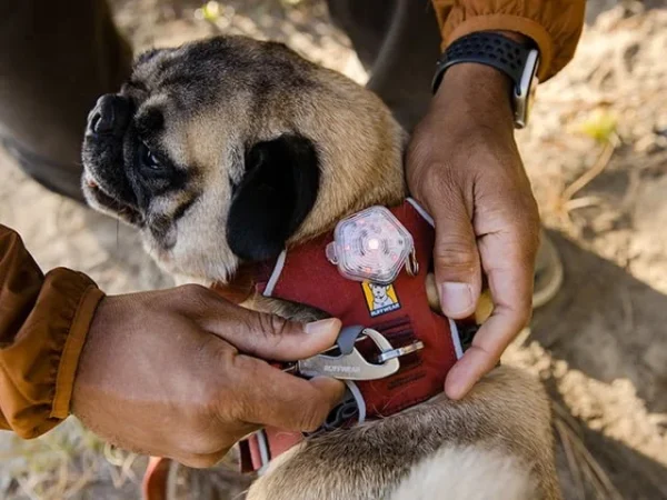 Ruffwear Front Range Hundesele Red Clay - Image 2