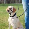 Trixie Top-Trainer Snudesele Træningssele