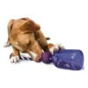 Petsafe Busy Buddy Tug-A-Jug Aktiveringsflaske Hundelegetøj