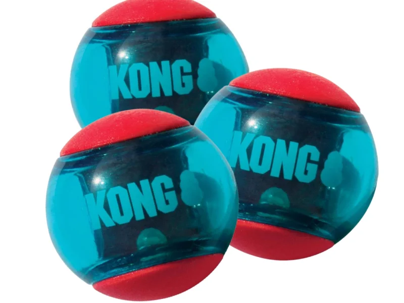 KONG Action Squeezz Bolde Sæt Hundelegetøj
