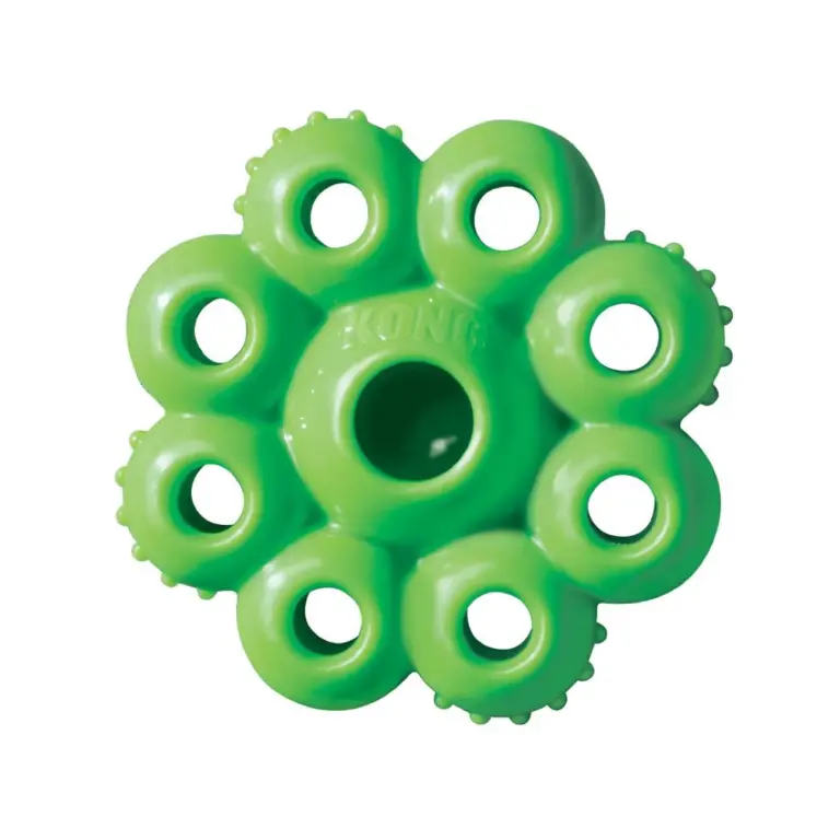 KONG Quest Star Gummi Hundelegetøj