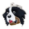 MyFamily Hundetegn Berner Sennen