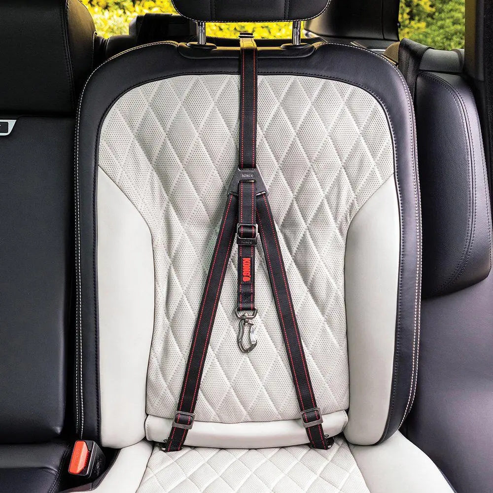 KONG Travel Ultimate Safety ISOFIX Bilsædestrop - Billede 2
