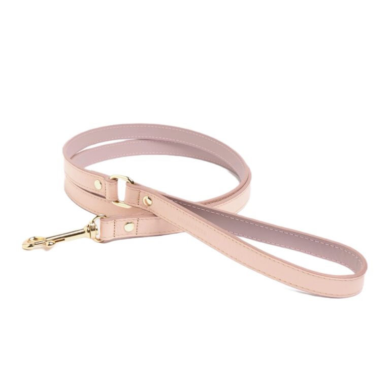 Branni Pets Juno Designer Hundesnor melon