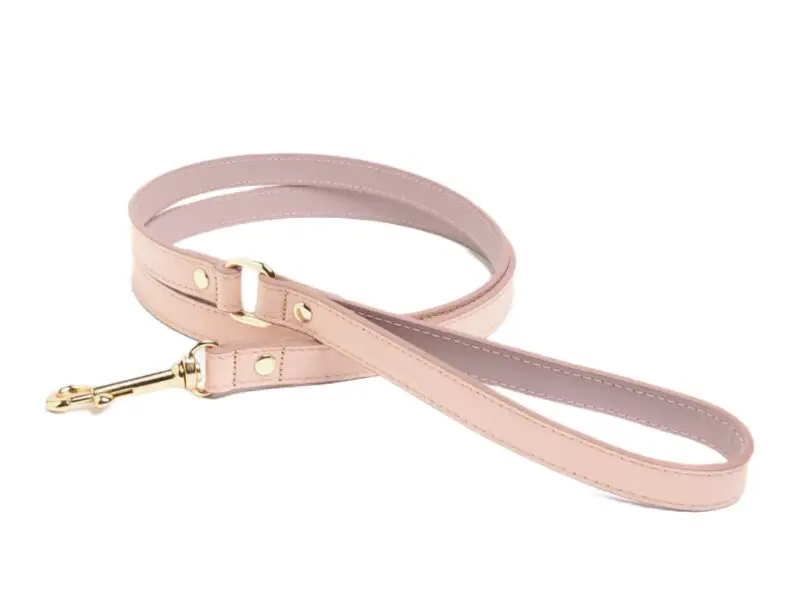 Branni Pets Juno Designer Hundesnor melon