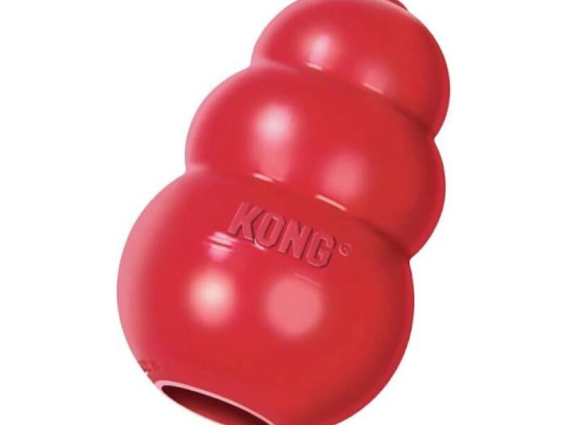 KONG Classic Rød Large Hundelegetøj