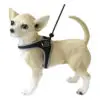 TrePonti Step-In Hundesele M/Justerbar Strop Sort