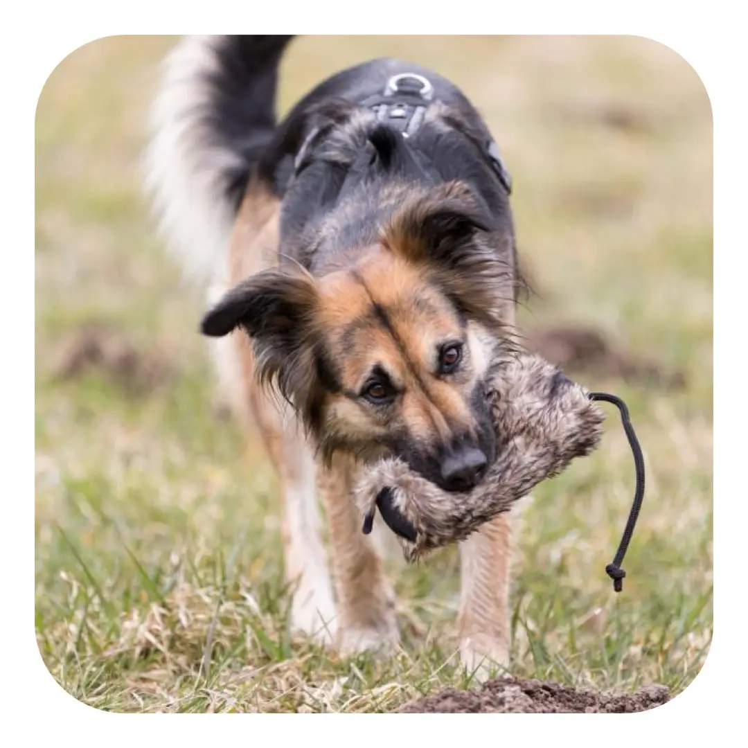 Trixie Dummy Imiteret Pels - Billede 2