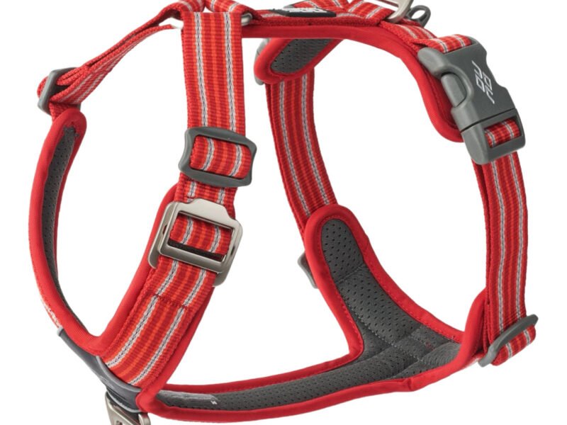 Dog Copenhagen Comfort Walk Air Hundesele Rød - New Design