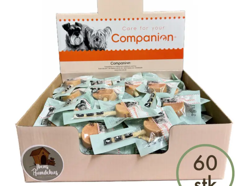 Companion Slikkepind Tilbud Kylling Kasse M/60 stk