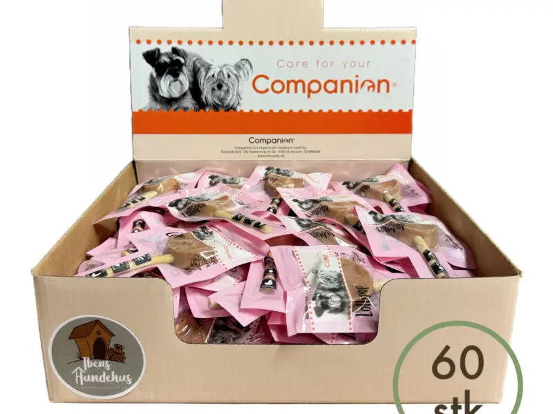 Companion Slikkepind Tilbud And Kasse M/60 stk