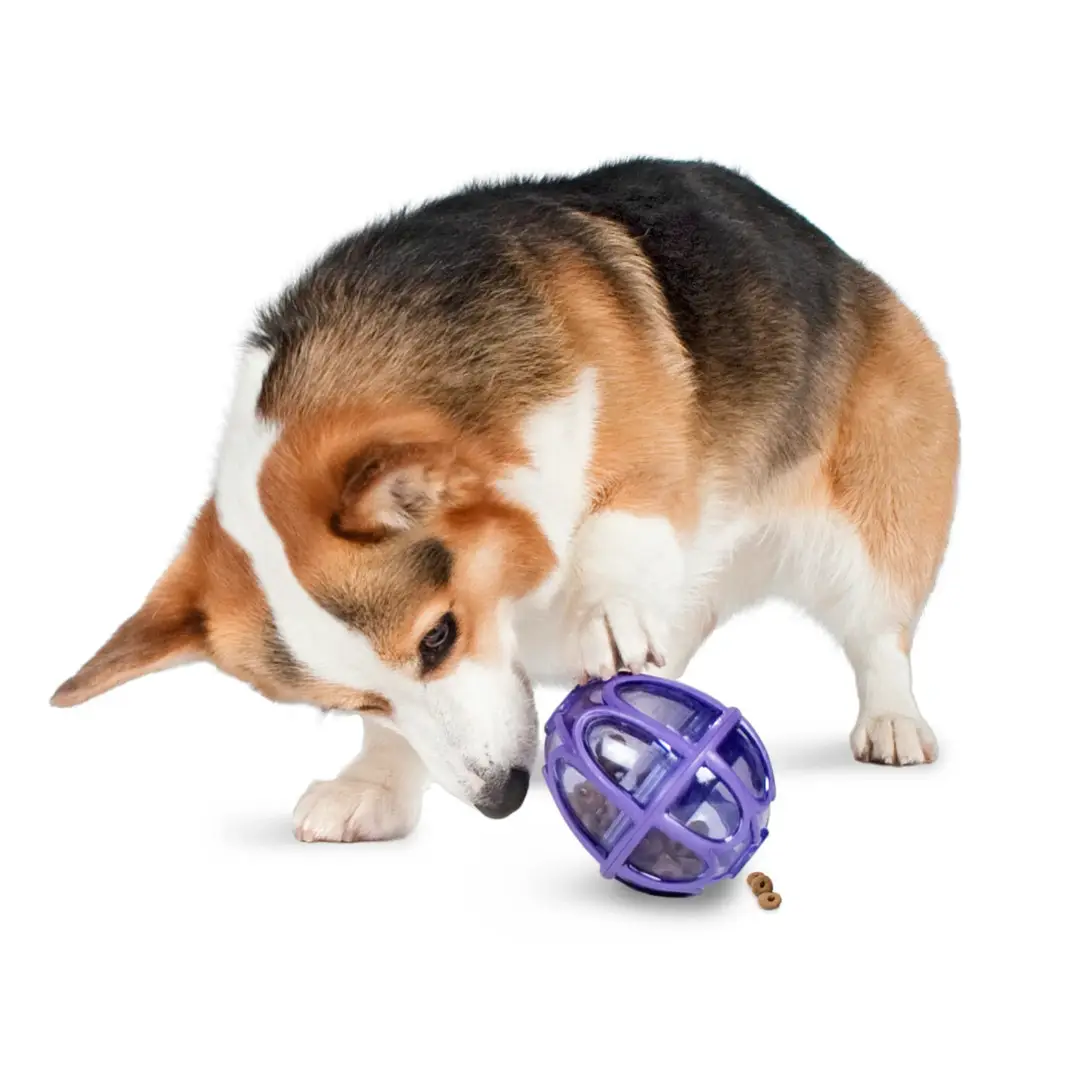 Petsafe Busy Buddy Kibble Nibble Aktiveringsbold Hundelegetøj - Billede 2