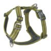Dog Copenhagen Comfort Walk Air Hundesele Grøn - New Design