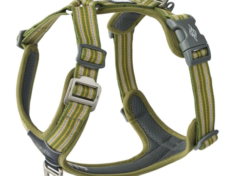 Dog Copenhagen Comfort Walk Air Hundesele Grøn - New Design