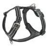 Dog Copenhagen Comfort Walk Air Hundesele Sort - New design