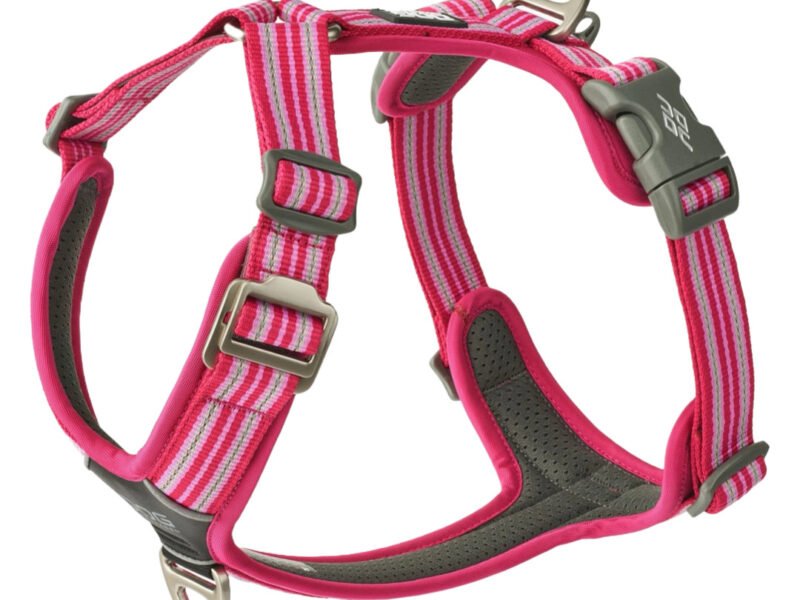 Dog Copenhagen Comfort Walk Air Hundesele Pink - New Design