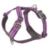 Dog Copenhagen Comfort Walk Air Hundesele Lilla - New Design