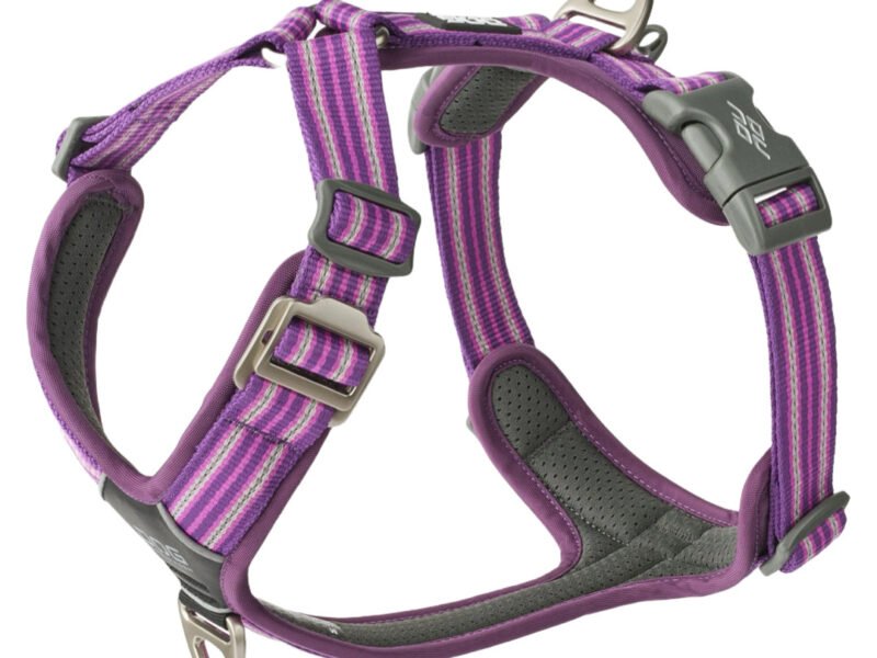 Dog Copenhagen Comfort Walk Air Hundesele Lilla - New Design