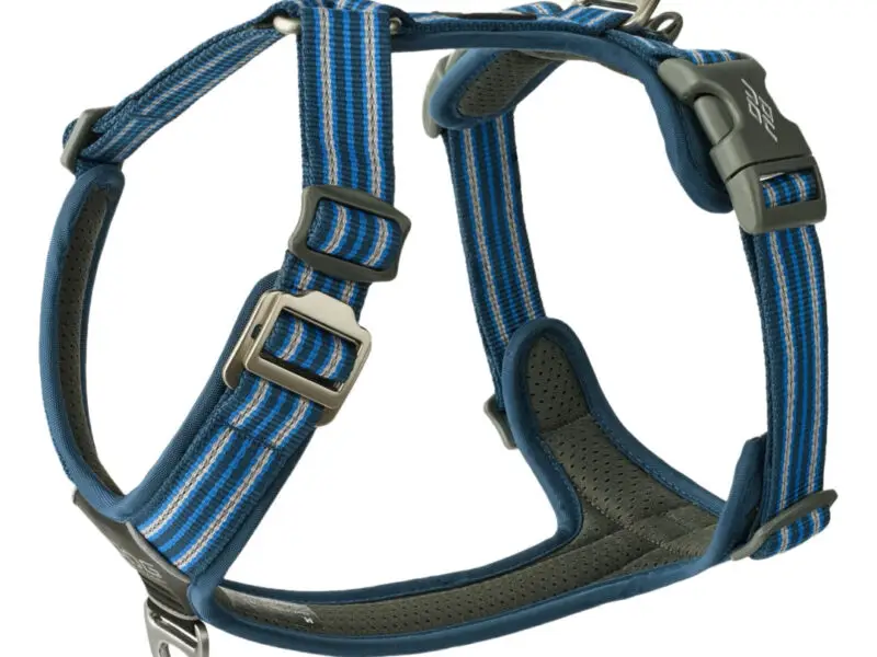Dog Copenhagen Comfort Walk Air Hundesele Blå - New Design