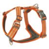 Dog Copenhagen Comfort Walk Air Hundesele Orange - New Design