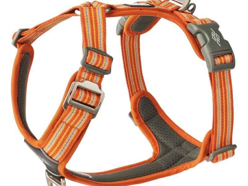 Dog Copenhagen Comfort Walk Air Hundesele Orange - New Design