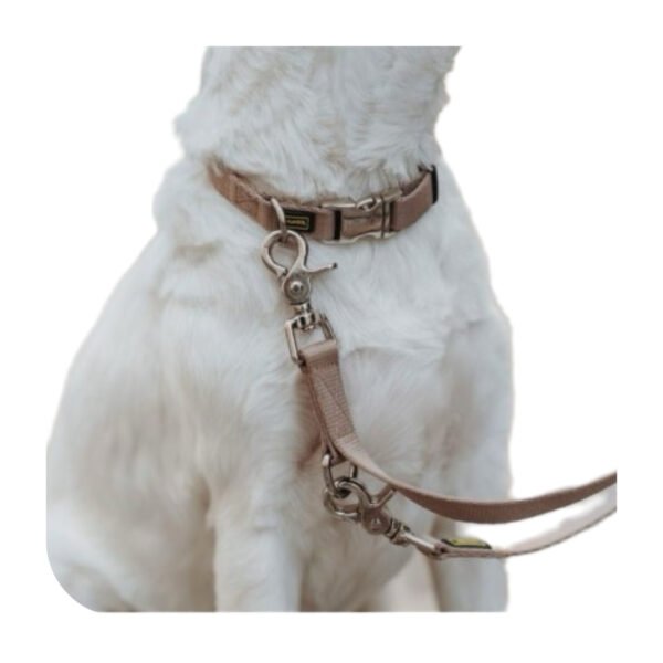 Hunter Inari Alu-Strong Beige Hundehalsbånd - Image 3