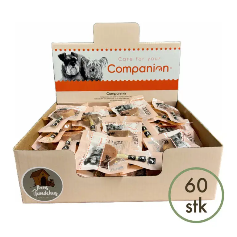 Companion Slikkepind Tilbud Okse Kasse M/60 stk