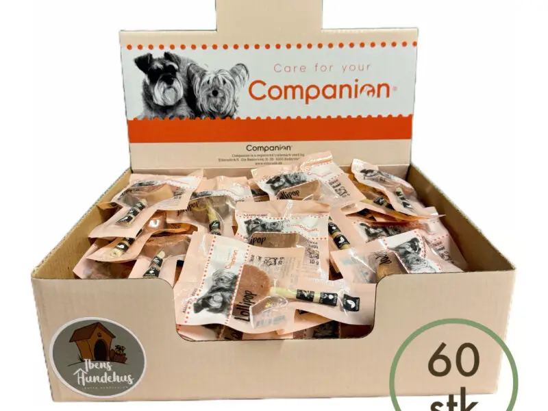 Companion Slikkepind Tilbud Okse Kasse M/60 stk
