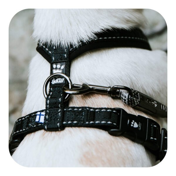 Hurtta Casual Y-Sele Raven Sort Hundesele - Image 4