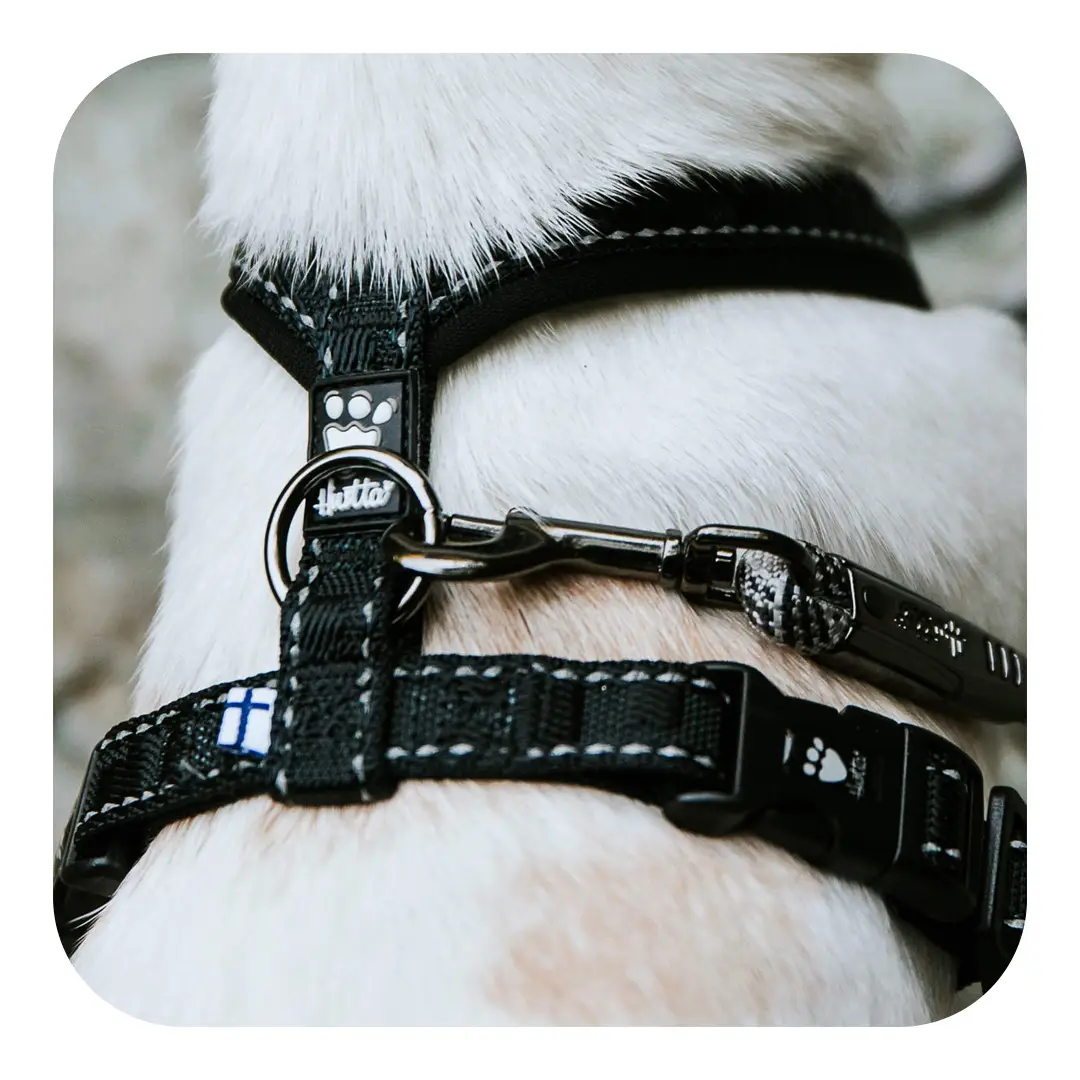 Hurtta Casual Y-Sele Raven Sort Hundesele - Billede 4