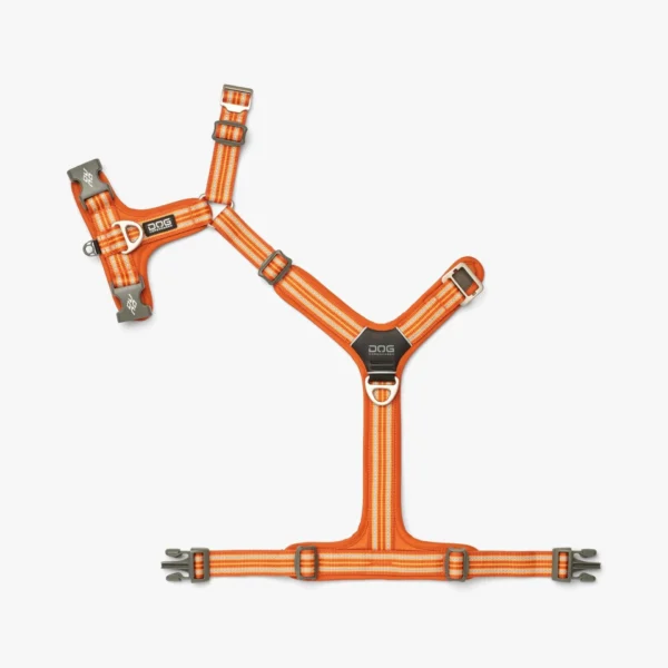 Dog Copenhagen Comfort Walk Air Hundesele Orange - New Design - Image 4