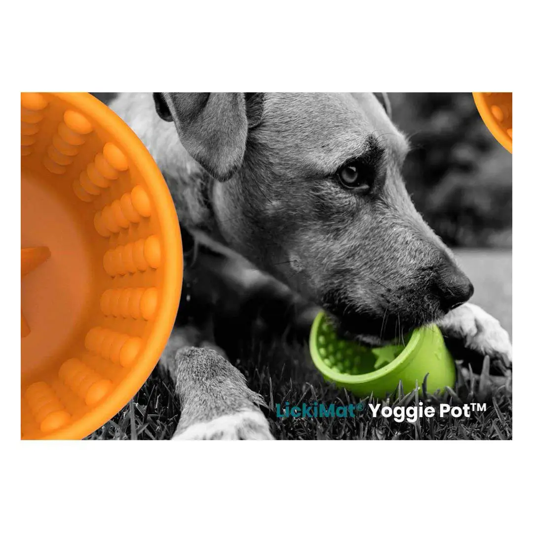LickiMat Yoggie Pot Orange Gummi Aktiveringslegetøj - Billede 5