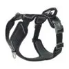 Dog Copenhagen Comfort Walk Pro Hundesele Sort - New Design