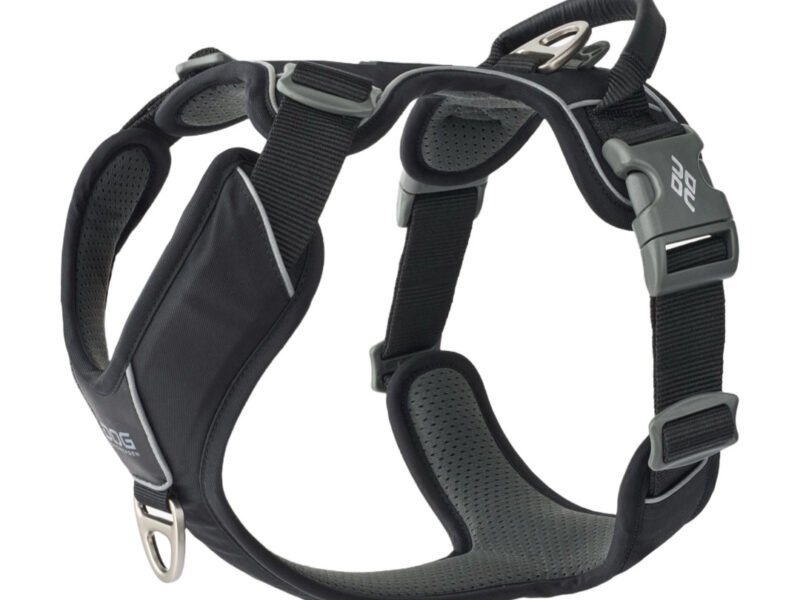 Dog Copenhagen Comfort Walk Pro Hundesele Sort - New Design