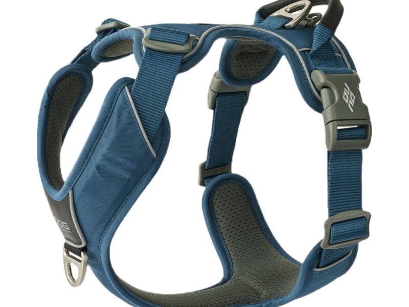 Dog Copenhagen Comfort Walk Pro Hundesele Blå - New Design