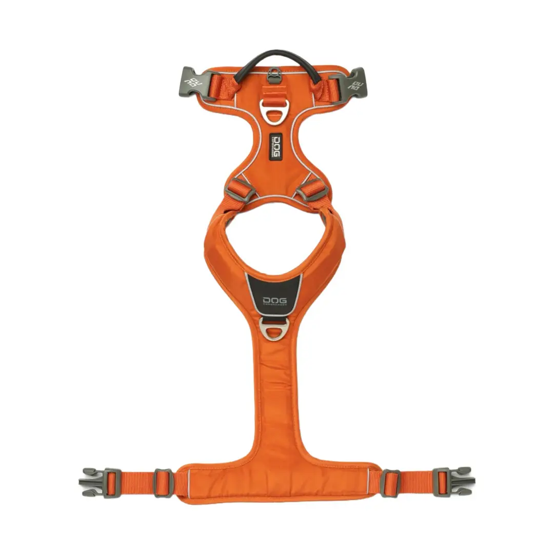 Dog Copenhagen Comfort Walk Pro Hundesele Orange - New Design - Billede 4